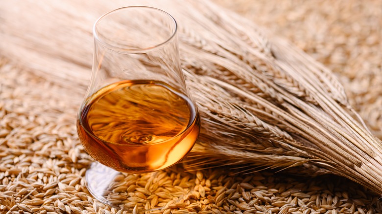 glass of whiskey with barley ears and grain