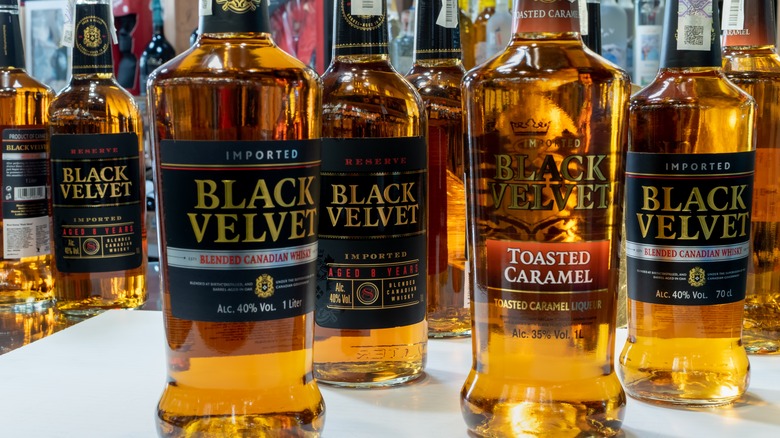 Black Velvet Canadian whisky bottles on display