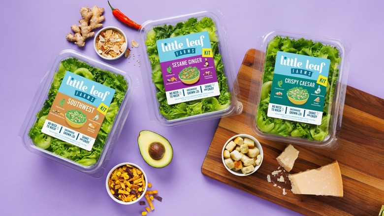 An assortment of Little Leaf Farms products surrounded by ginger, avocado, parmesan, and other salad toppers