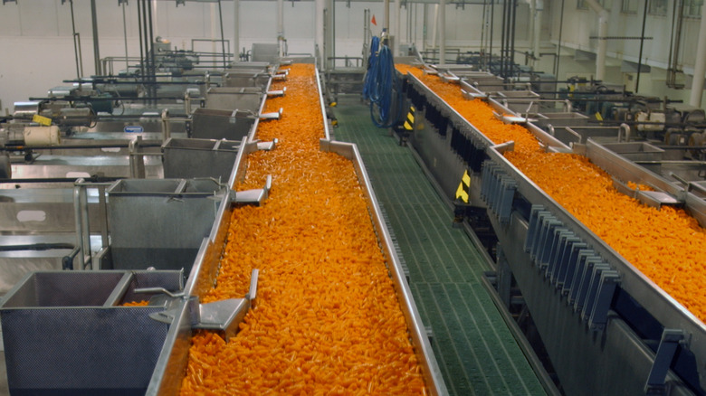 Baby carrots in processing plant