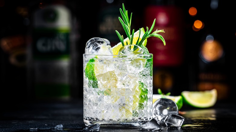 gin and tonic in clear tumbler with rosemary garnish