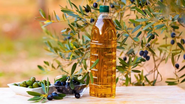 Olive oil in plastic bottle with olives