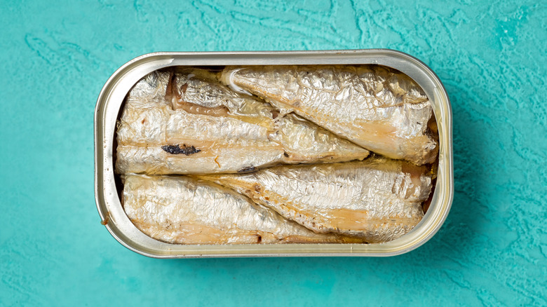 can of sardines