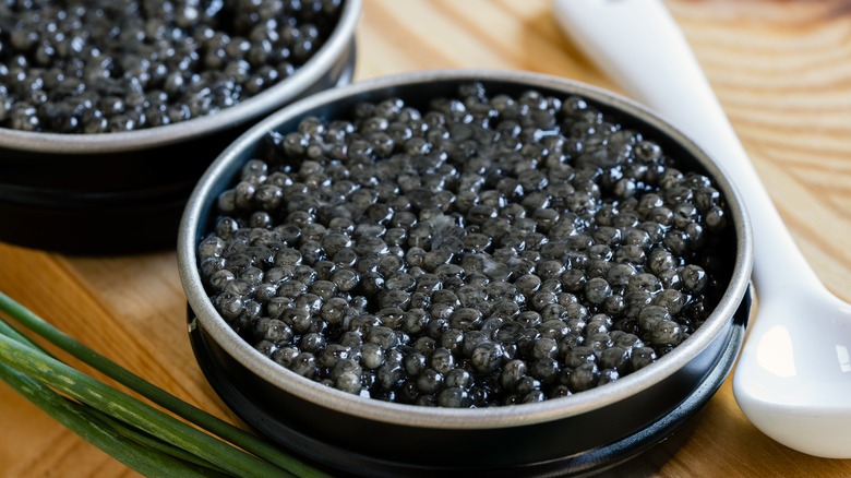 caviar in tin with spoon