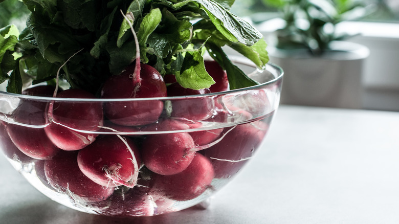 Radishes in a bowl of water