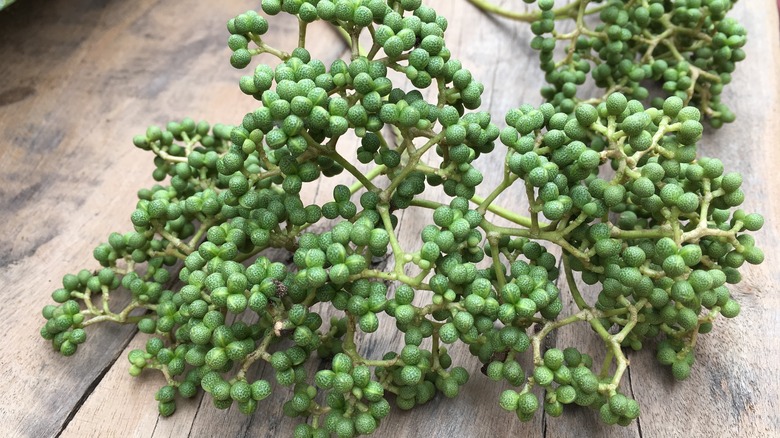 Fresh green Sichuan peppercorn