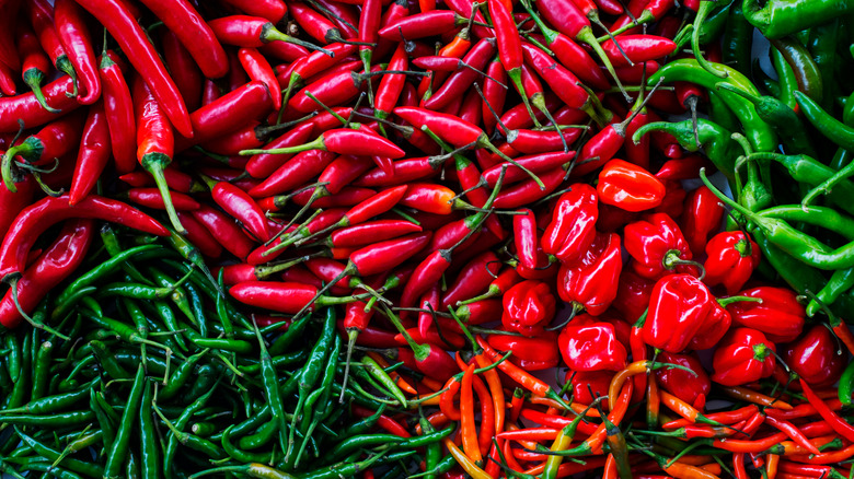 Assorted fresh hot chili peppers in a pile