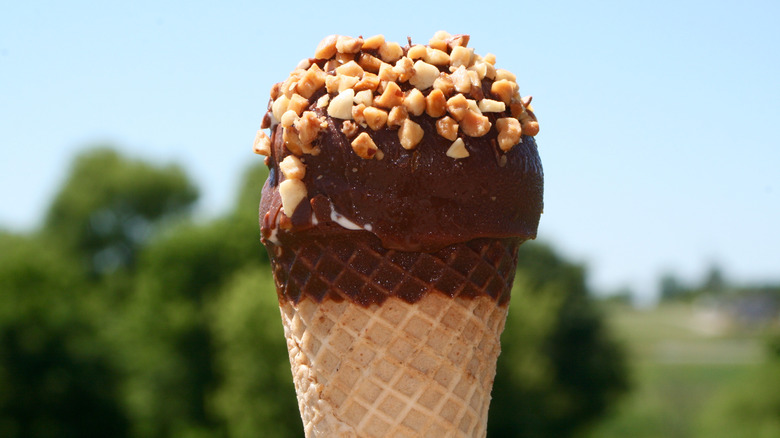 The top of a Drumstick ice cream cone shot outside