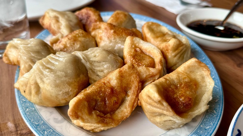 Pan-fried potstickers on a blue-rimmed plate.