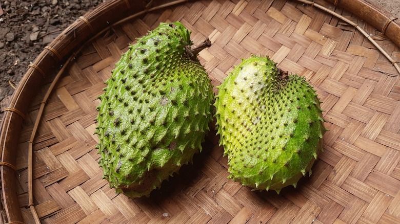 two soursop fruits