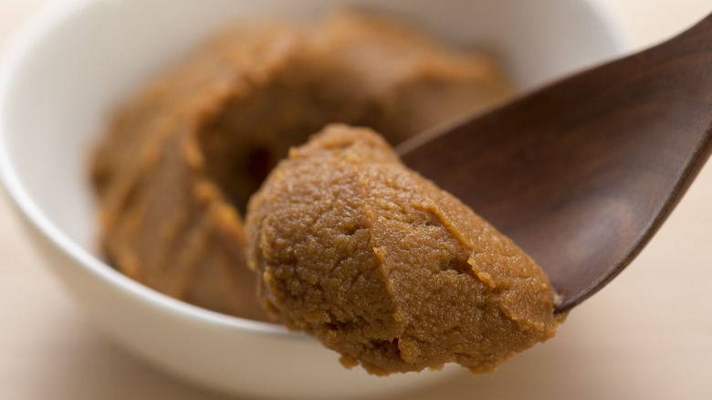 Miso paste on wooden spoon