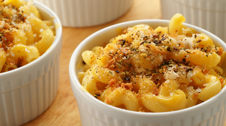 mac and cheese with spicy breadcrumbs