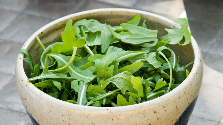 Bowl of fresh raw arugala