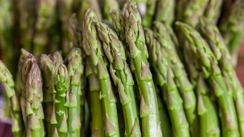 Close-up of asparagus stalks