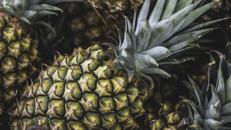 Close-up of pineapples