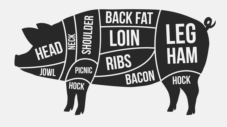 Butcher's diagram of pork