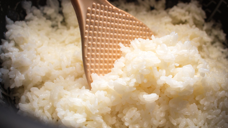 close up of cooked white rice