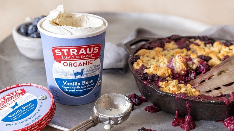 Straus Family Creamery Organic Vanilla Bean Ice Cream