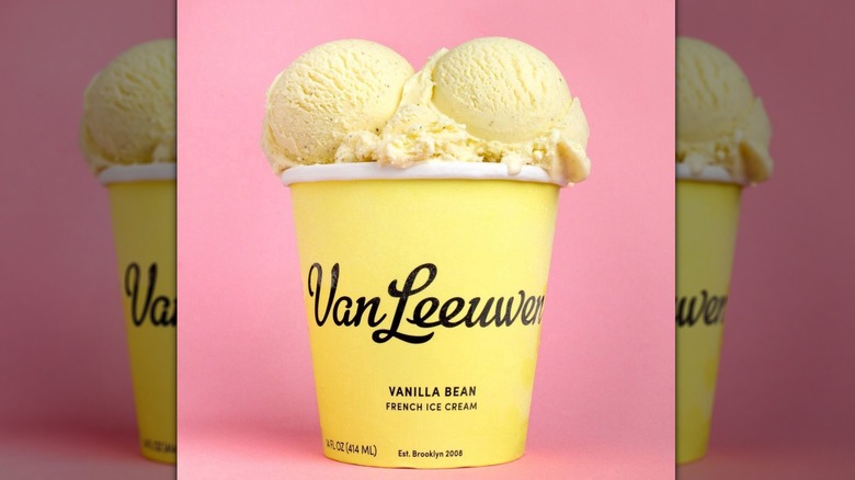 Van Leeuwen Vanilla Bean French Ice Cream