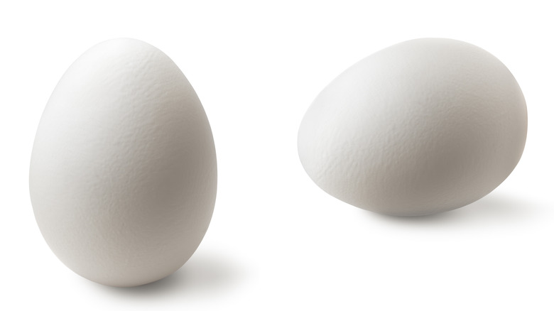 two white eggs on white background