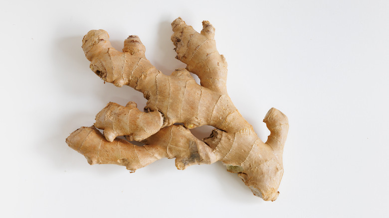 fresh whole ginger root
