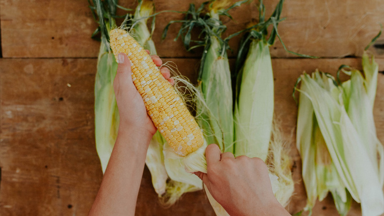 Person shucking corn