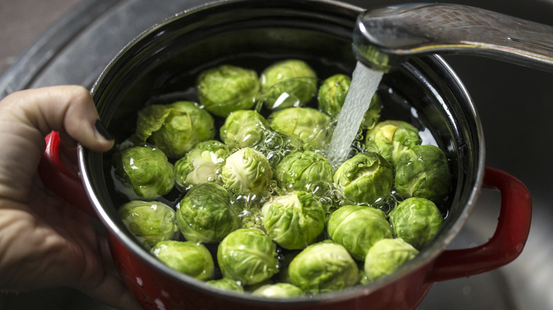 Brussel sprouts in water