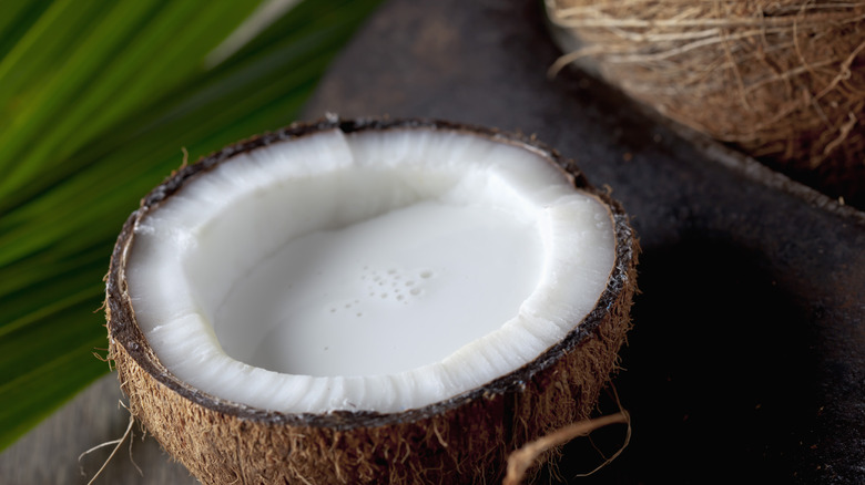 coconut milk in coconut shell