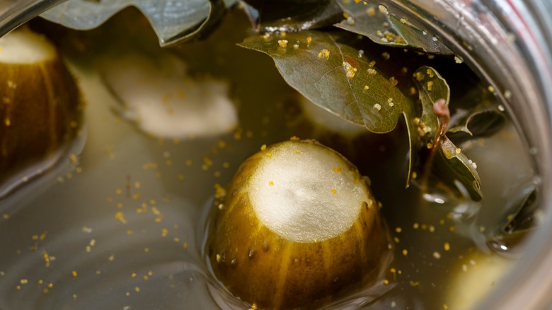 pickle in seasoned brine