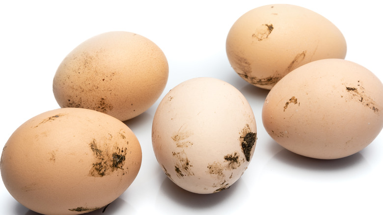 Dirty brown eggs