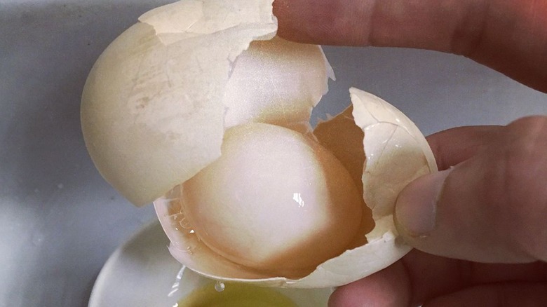 Egg developed within another egg