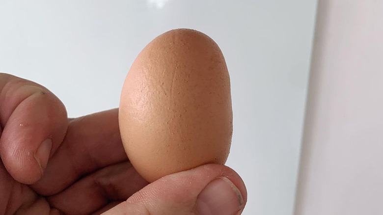 flat side of slab-sided egg