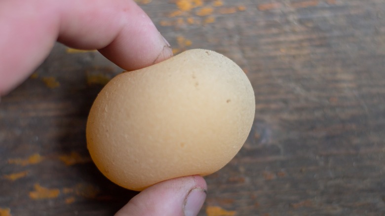 Soft-shelled egg