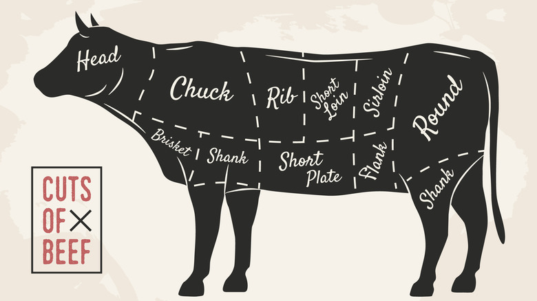 A diagram showing cuts of beef