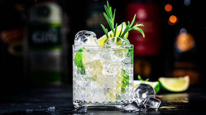 Clear cocktail with rosemary, lemon, lime, and ice sits on a dark countertop