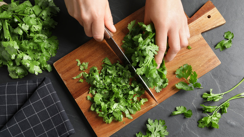 Hands chopping cilantro on cutting board