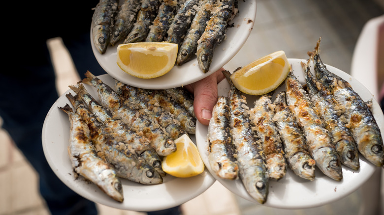 Hand holding three plates of grilled sardines