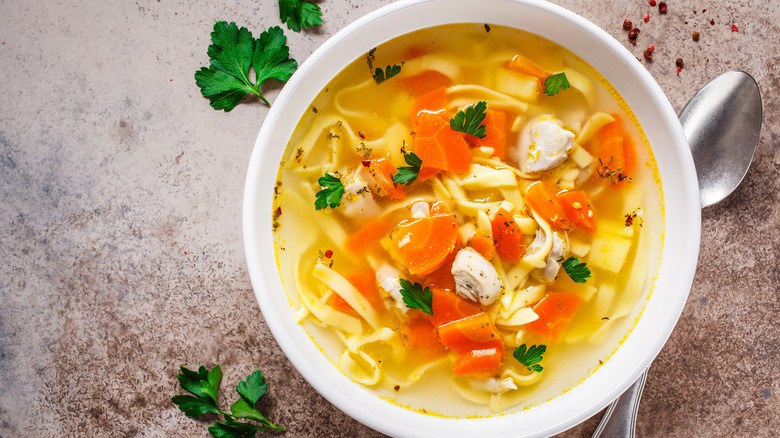 chicken noodle soup with parsley