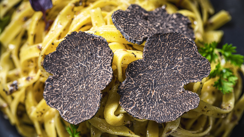 A plate of pasta is topped with generous shavings of black truffle mushrooms