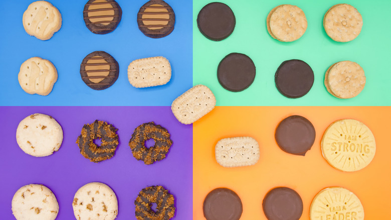 Assorted Girl Scout cookies on color block background