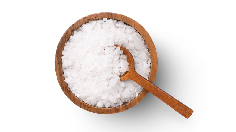 Bowl of sea salt with spoon