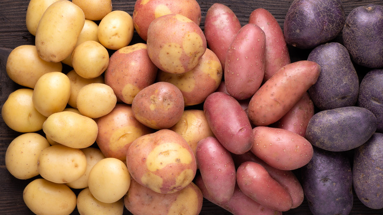 types of potatoes