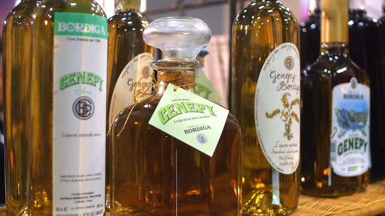 Close up of a row of genepi bottles