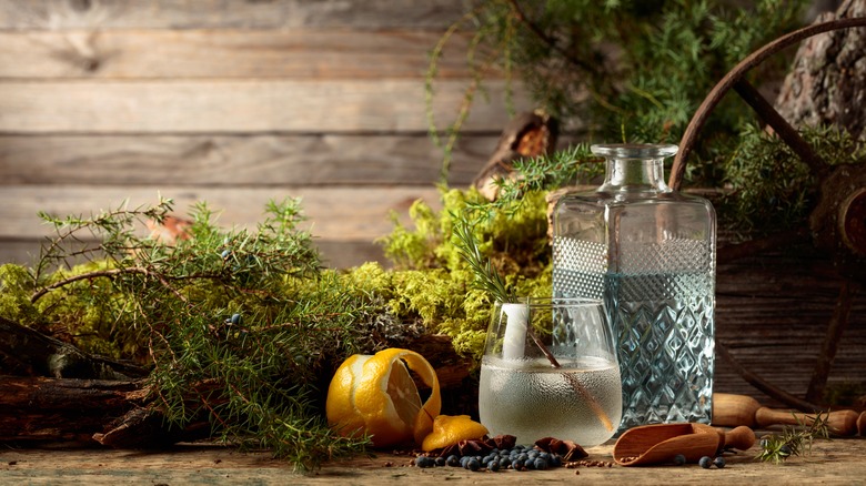 Juniper berries and gin cocktail