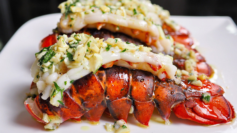 buttery garlic and herb lobster tails on a white plate
