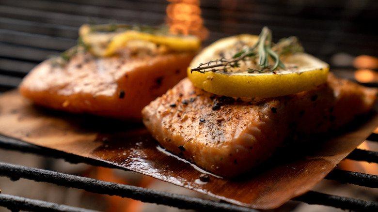 two salmon filets grilled on cedar planks