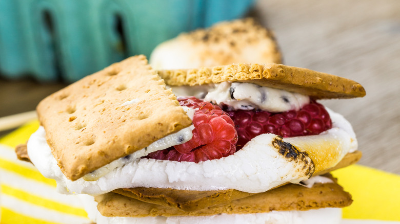 Raspberry and white chocolate s'more