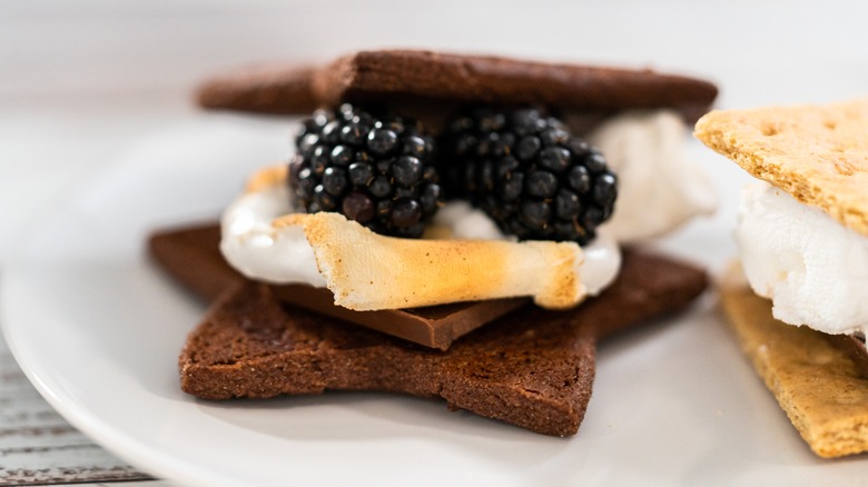 S'mores with berries inside