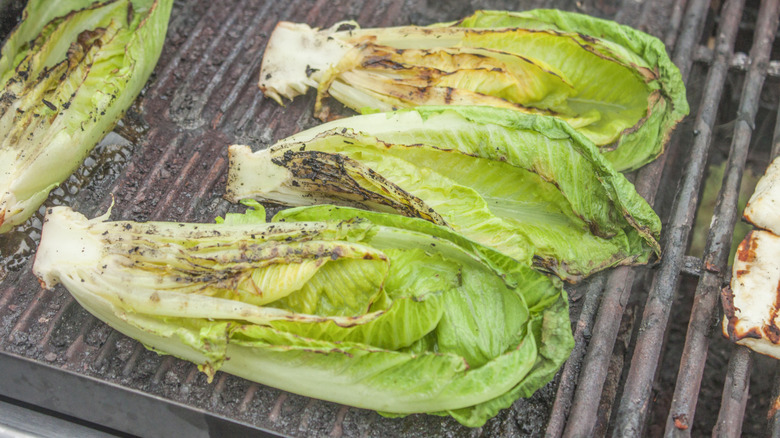 Romaine lettuce heads on a grill
