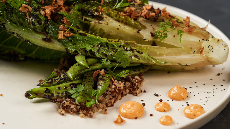 Grilled romaine lettuce on a plate